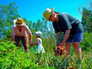 Leia mais sobre o artigo Agricultura Familiar