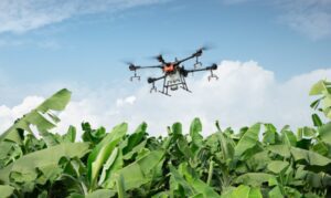 Leia mais sobre o artigo DRONE PULVERIZAÇÃO AGRÍCOLA