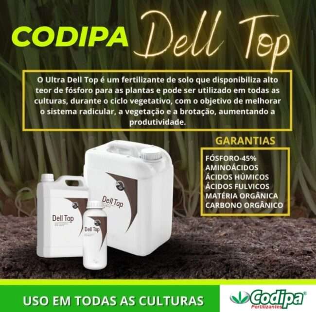 Você está visualizando atualmente DELL TOP – P45