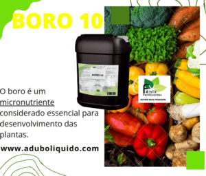 Leia mais sobre o artigo BORO 10