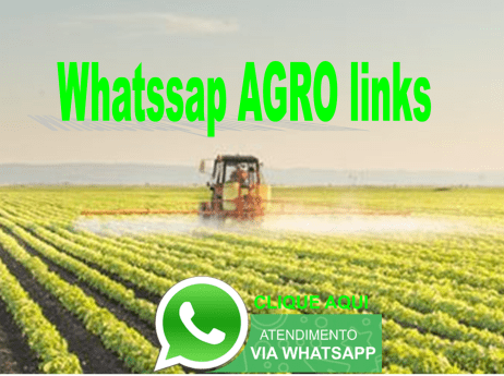 Leia mais sobre o artigo Grupos de Whatssap Agro Links