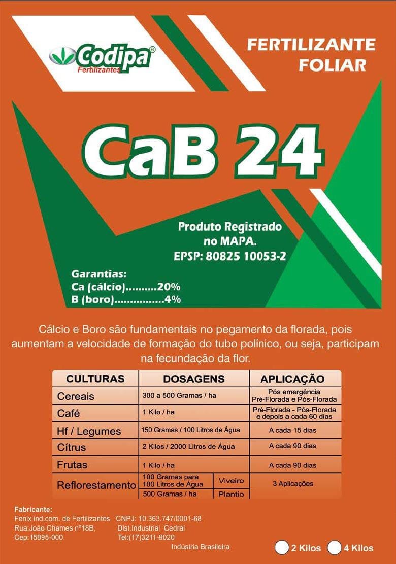 CAB24