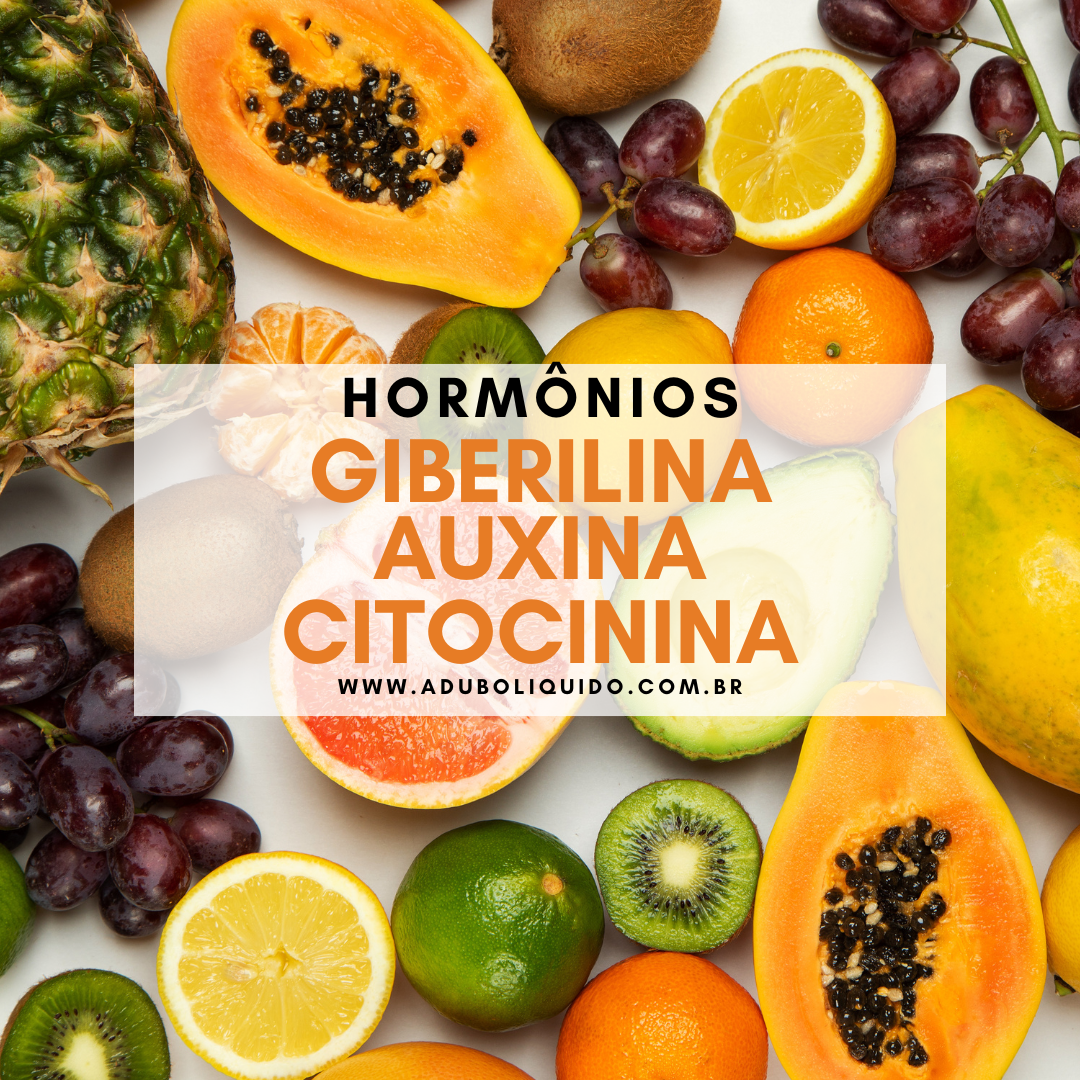 Giberilina, Auxina e Citocinina: Reguladores do Crescimento